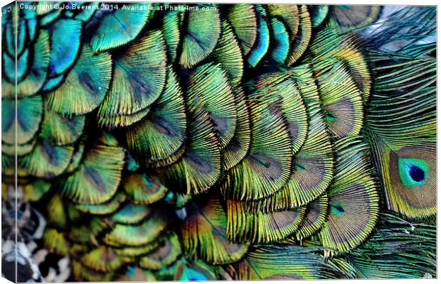 peacock pattern Canvas Print by Jo Beerens