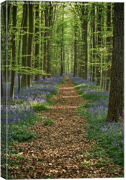 bluebell forest path Canvas Print by Jo Beerens