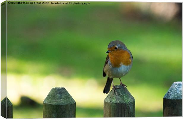 robin on a fence Canvas Print by Jo Beerens