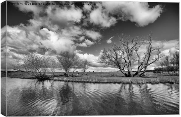 dutch landscape Canvas Print by Jo Beerens