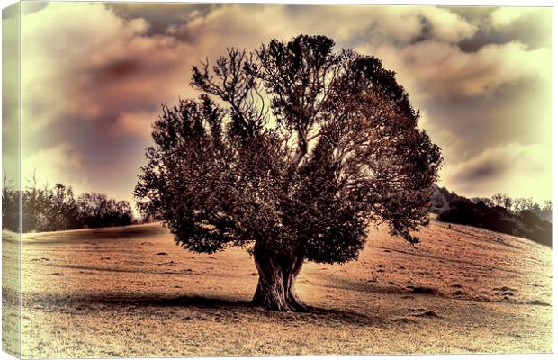 one tree hill Canvas Print by Dean Messenger