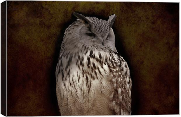eagle owl Canvas Print by Dean Messenger