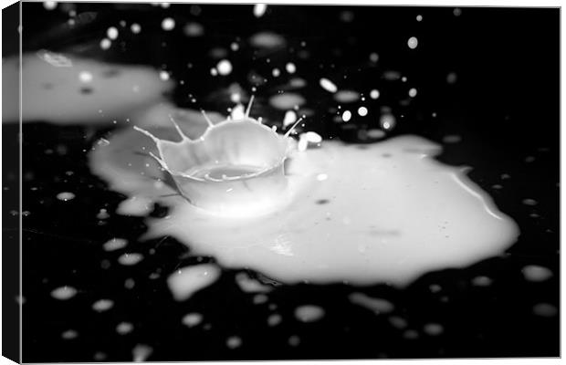 spilt Milk Canvas Print by Dean Messenger