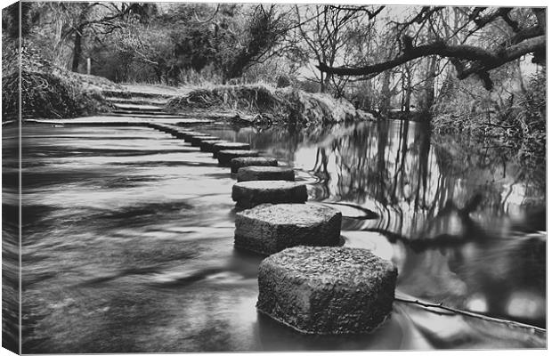 River Mole Stepping Stones Canvas Print by Dean Messenger