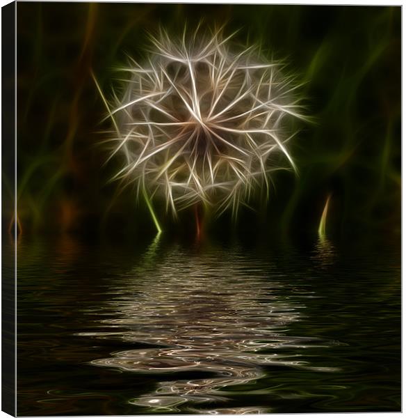 Dandelion reflected Canvas Print by Dean Messenger