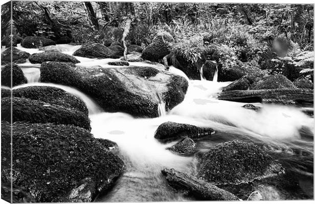 Becky Falls Wet Rocks Canvas Print by Dean Messenger