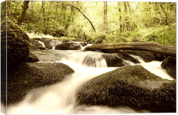 Becky Falls White water Canvas Print by Dean Messenger