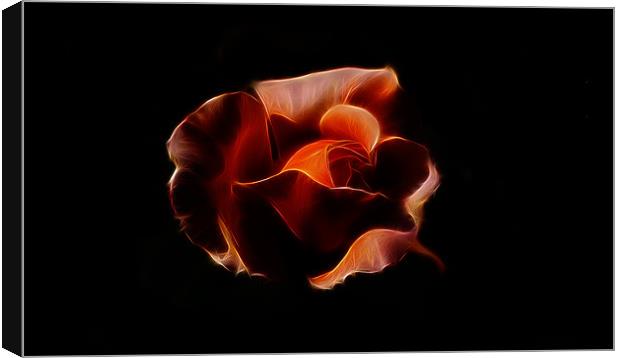 Orange Rose iPhone Case Canvas Print by Dean Messenger