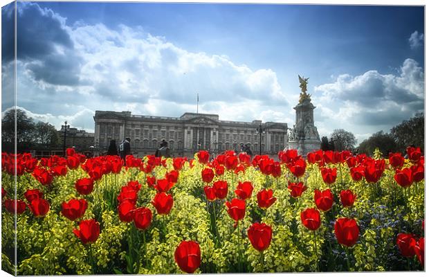 Tulips at Buckingham Palace Canvas Print by Dean Messenger