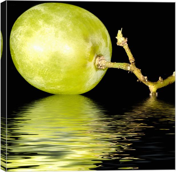 just a  green grape Canvas Print by Dean Messenger