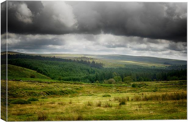 Dartmoor forest Canvas Print by Dean Messenger