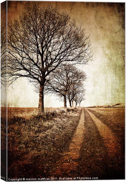tree lined track in winter Canvas Print by meirion matthias