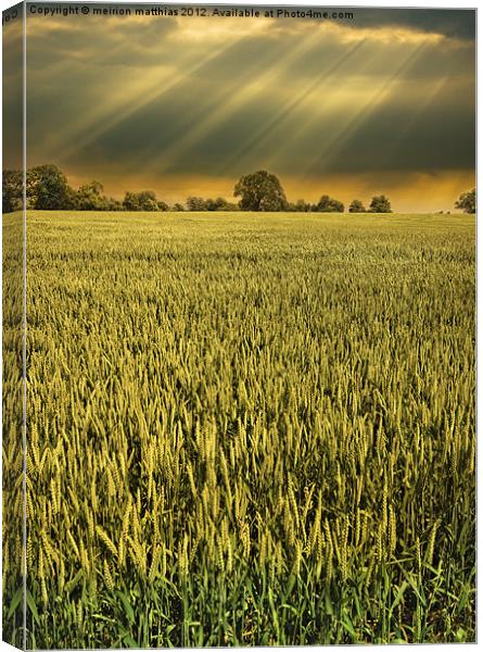 drama in the barley field Canvas Print by meirion matthias