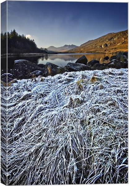 frosty morning in snowdonia Canvas Print by meirion matthias