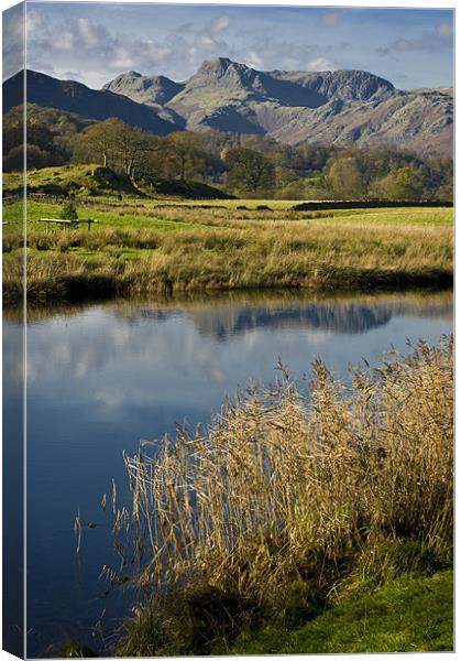 langdale pikes from elterwater Canvas Print by meirion matthias