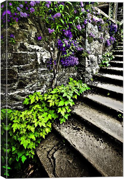 the garden steps Canvas Print by meirion matthias