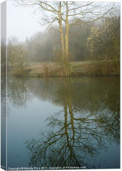 Reflection of tree on water Canvas Print by Mandy Rice