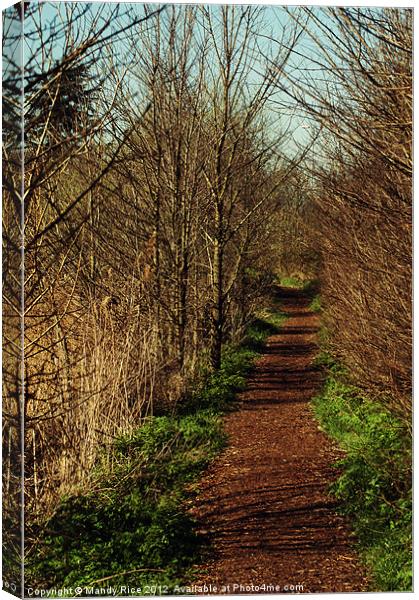 Woodland path Canvas Print by Mandy Rice