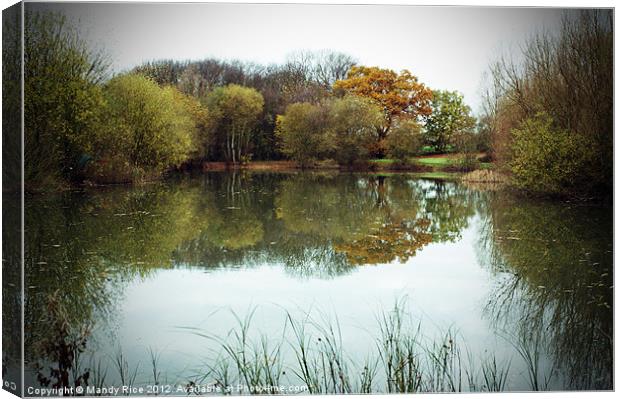 Reflections in the lake Canvas Print by Mandy Rice
