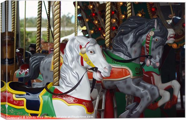 Colourful carousel Canvas Print by Mandy Rice