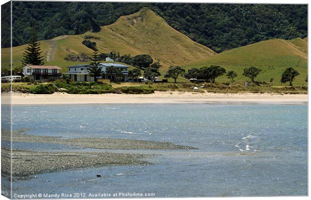 Beach houses Coromandel NZ Canvas Print by Mandy Rice