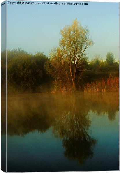  Tree reflection Canvas Print by Mandy Rice