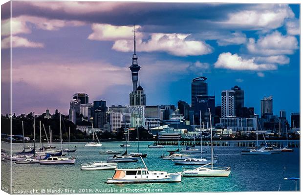 Auckland Harbour NZ Canvas Print by Mandy Rice