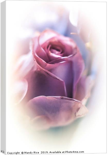 Pink rose bud Canvas Print by Mandy Rice