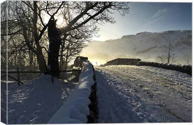 Great Langdale Canvas Print by Richard Nicholls