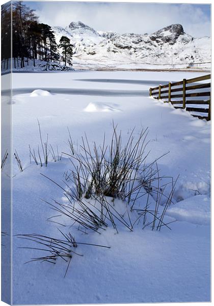 Blea Tarn Canvas Print by Richard Nicholls