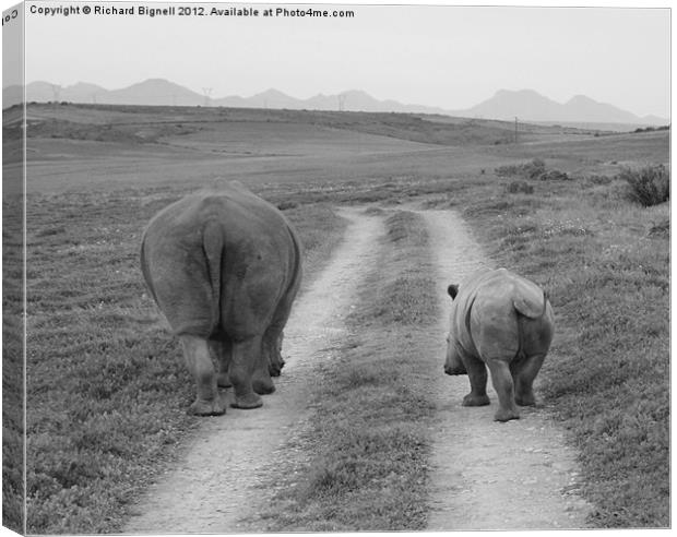 Heading Home Canvas Print by Richard Bignell