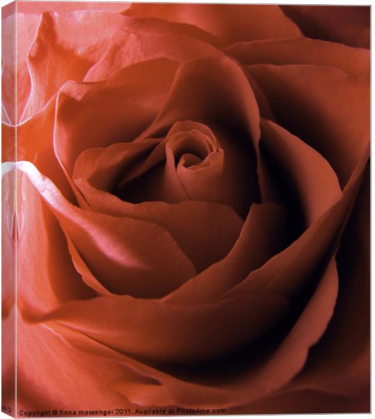 rose red Canvas Print by Fiona Messenger