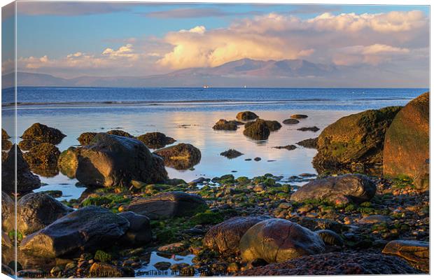 North beach Ardrossan morning Canvas Print by Fiona Messenger