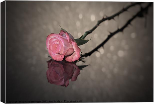 Rose Reflected Canvas Print by Fiona Messenger