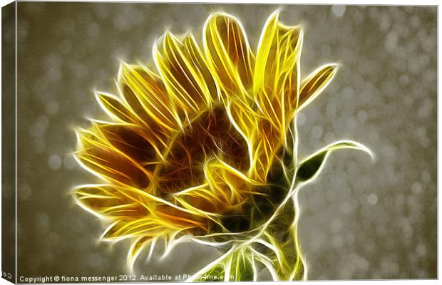 Sunflower Fractalius Canvas Print by Fiona Messenger