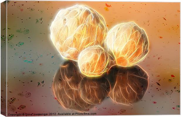 Fractal spheres Canvas Print by Fiona Messenger