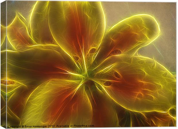 Asiatic  lily fractal Canvas Print by Fiona Messenger