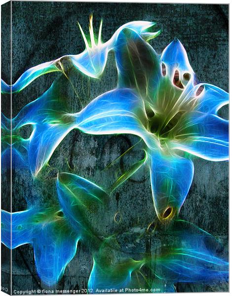 Lily Blue Canvas Print by Fiona Messenger