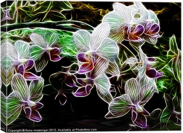 Orchids Canvas Print by Fiona Messenger