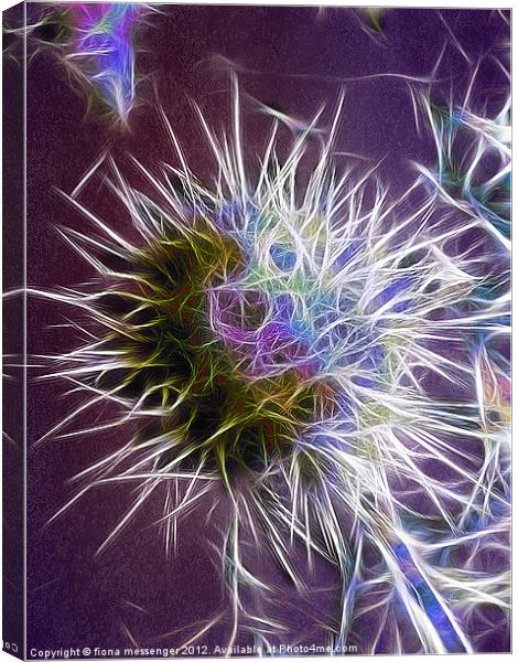 Cactus in colour Canvas Print by Fiona Messenger