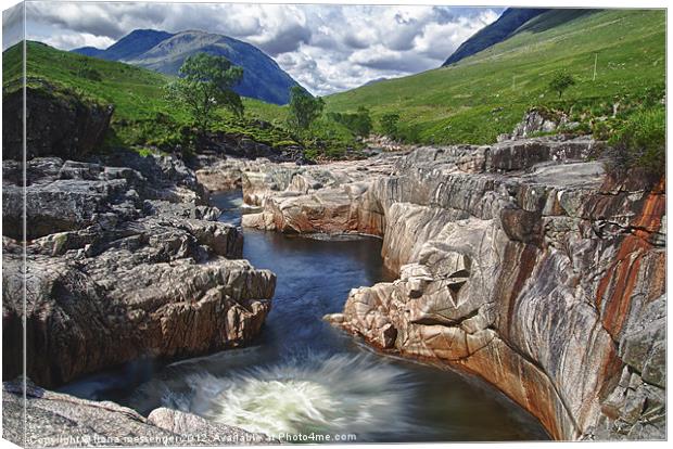 River Etive Canvas Print by Fiona Messenger