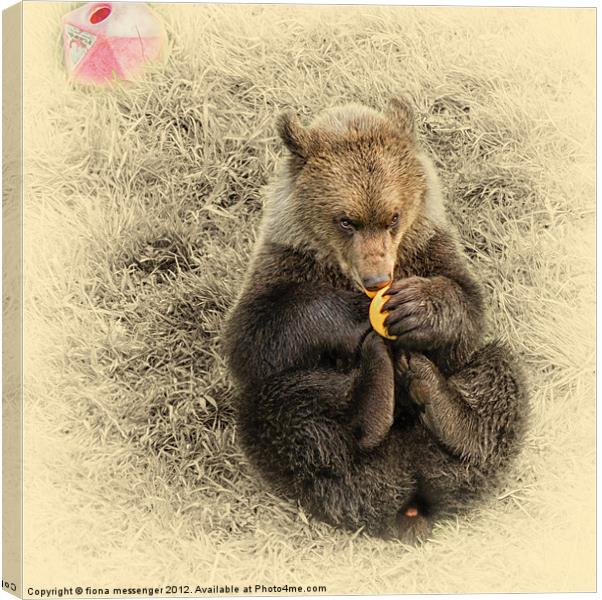 Bear Cub Canvas Print by Fiona Messenger
