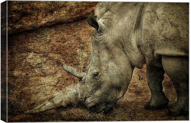 Between a Rock and a Hard Place Canvas Print by Fiona Messenger