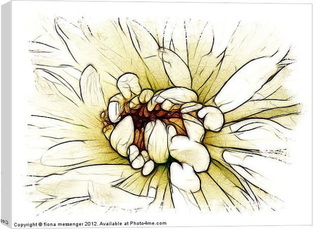 Chrysanthemum Canvas Print by Fiona Messenger