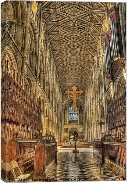 Choral Beauty Canvas Print by Fiona Messenger