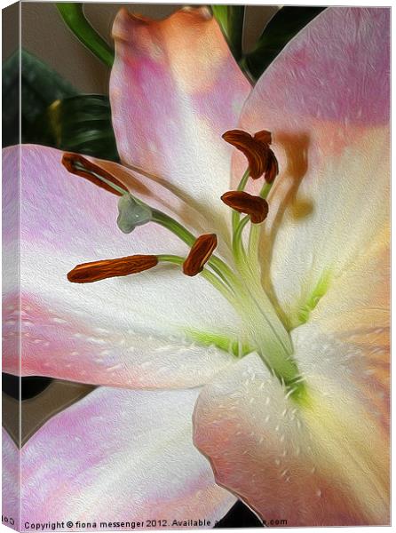 Lily 3 Canvas Print by Fiona Messenger