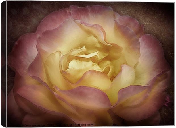 Peace be with You Canvas Print by Fiona Messenger