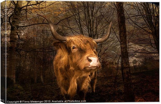 Highland Toffee Coo Canvas Print by Fiona Messenger