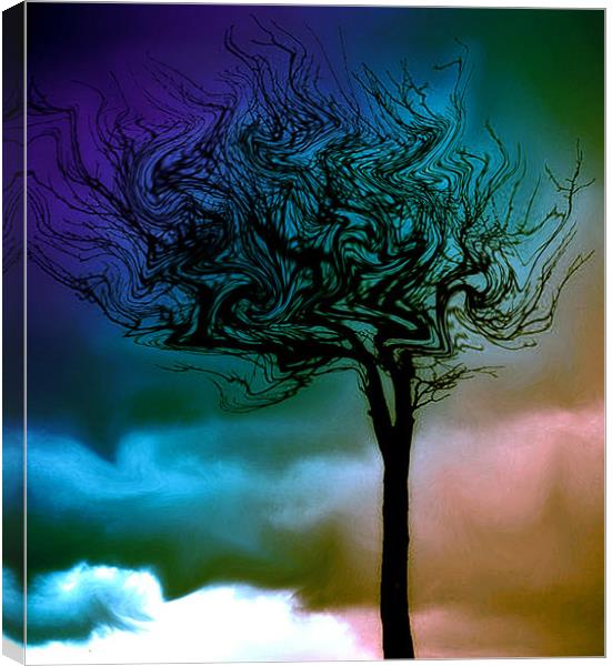 Surreal Tree Canvas Print by karen shivas