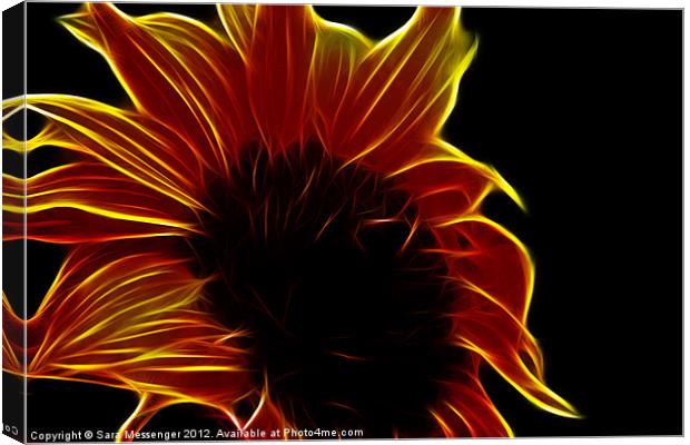 Sunflower glow Canvas Print by Sara Messenger